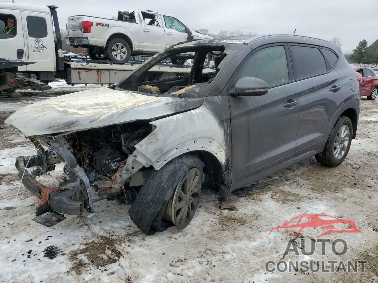 HYUNDAI TUCSON 2016 - KM8J33A24GU187173