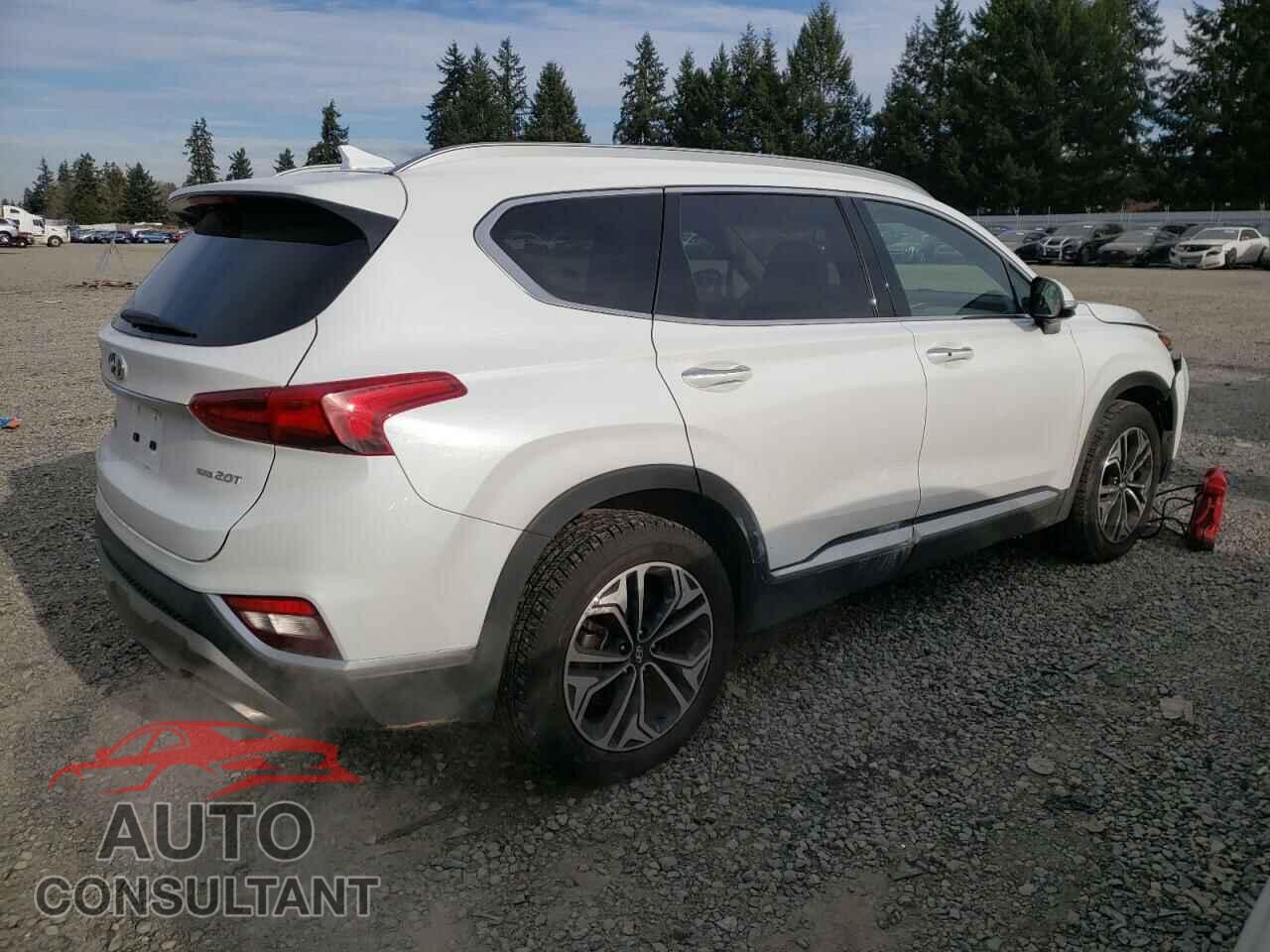 HYUNDAI SANTA FE 2019 - 5NMS5CAA9KH100295