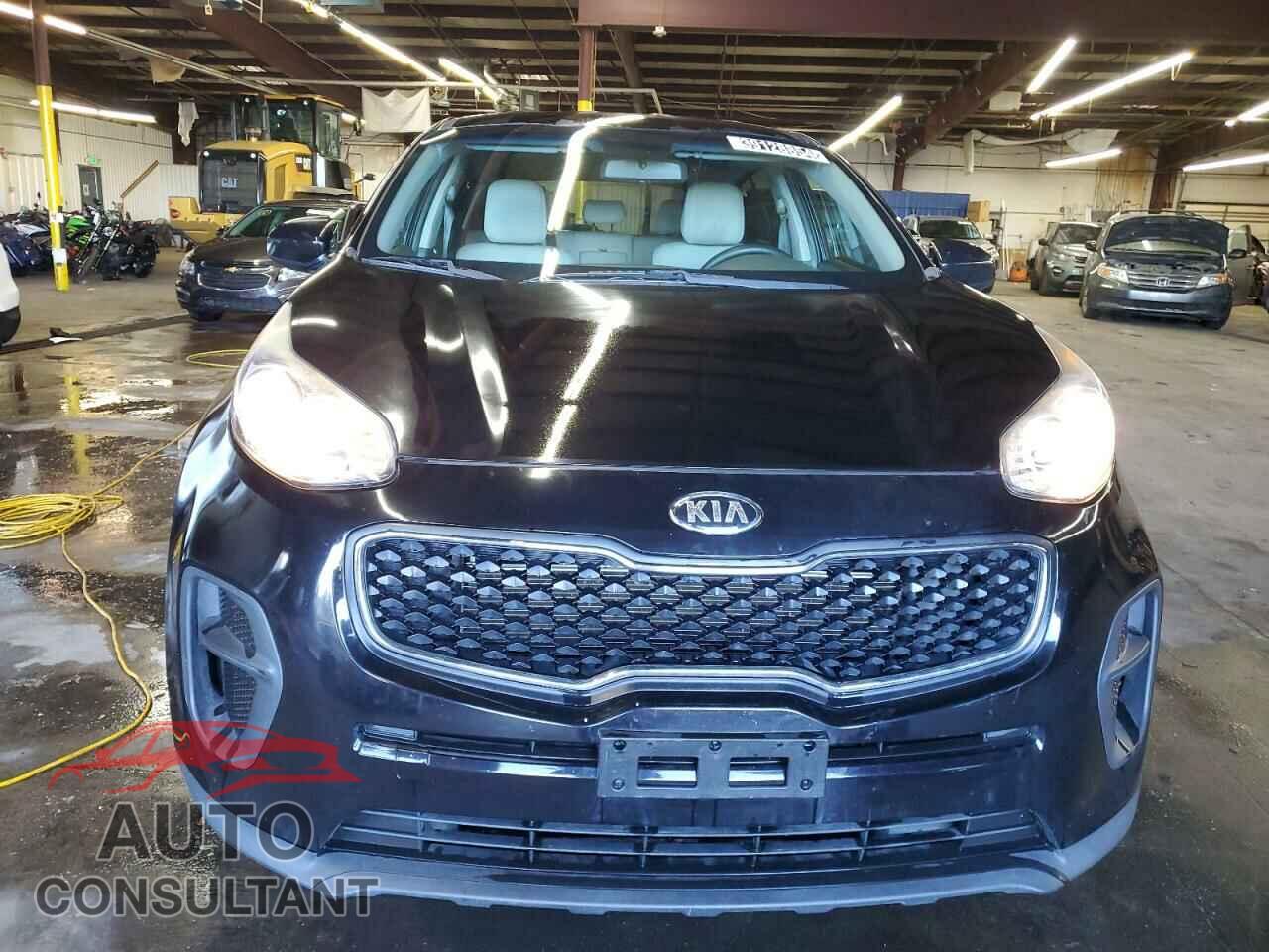 KIA SPORTAGE 2017 - KNDPM3AC0H7176594