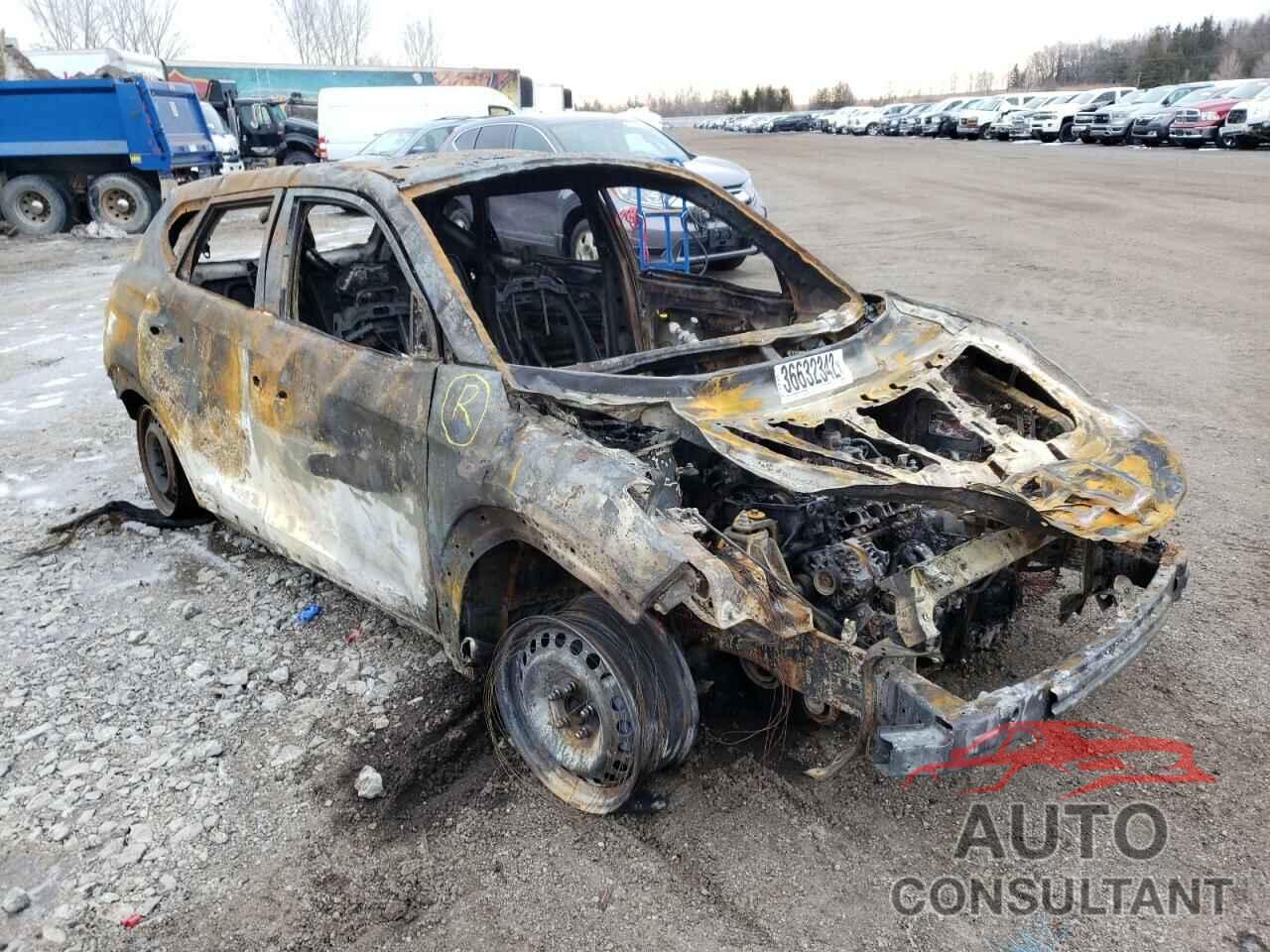 HYUNDAI TUCSON 2020 - KM8J23A4XLU253871