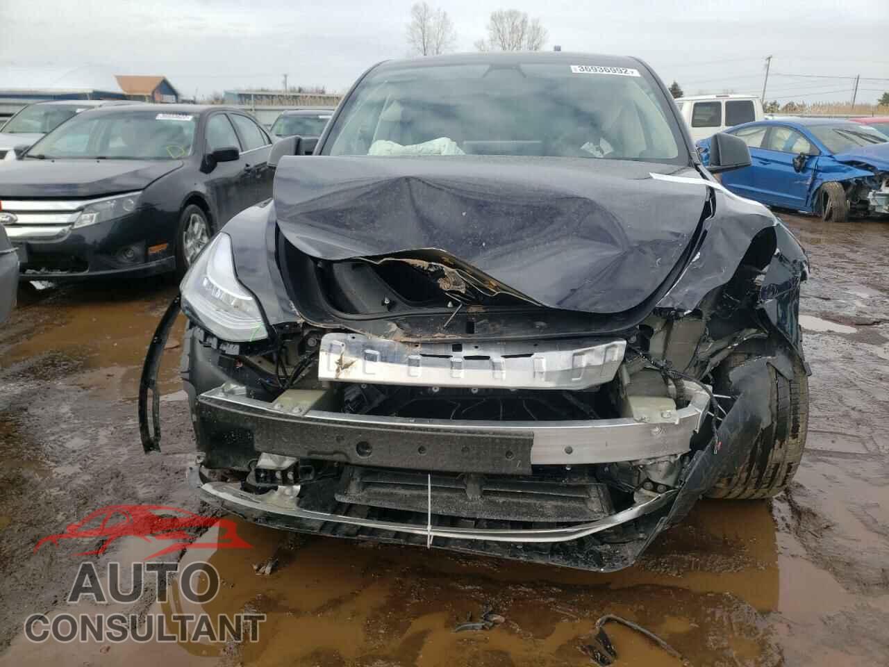 TESLA MODEL Y 2022 - 7SAYGAEE1NF328922