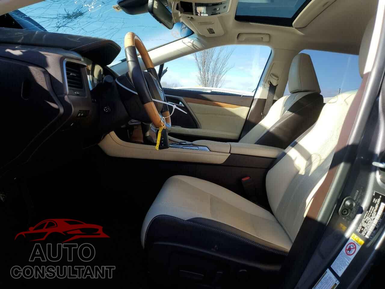 LEXUS RX350 2019 - JTJDZKCA4K2019498