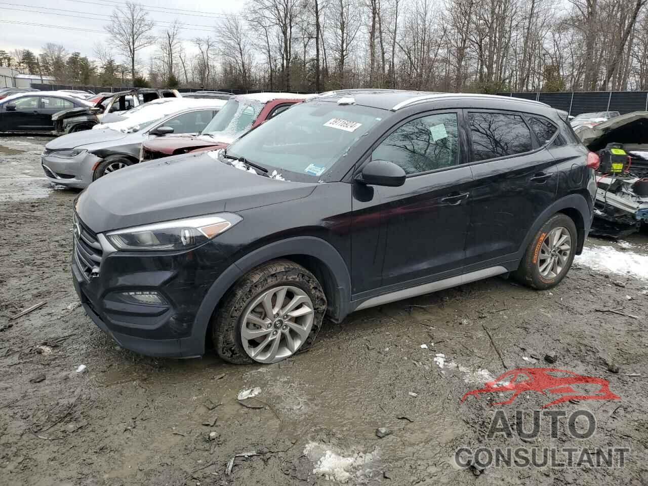 HYUNDAI TUCSON 2017 - KM8J3CA43HU535046