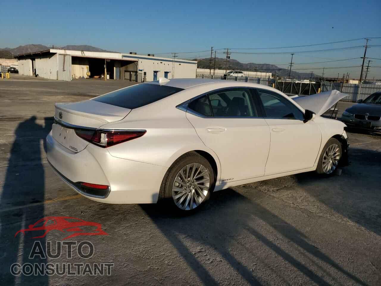 LEXUS ES300 2021 - 58AEA1C19MU012146