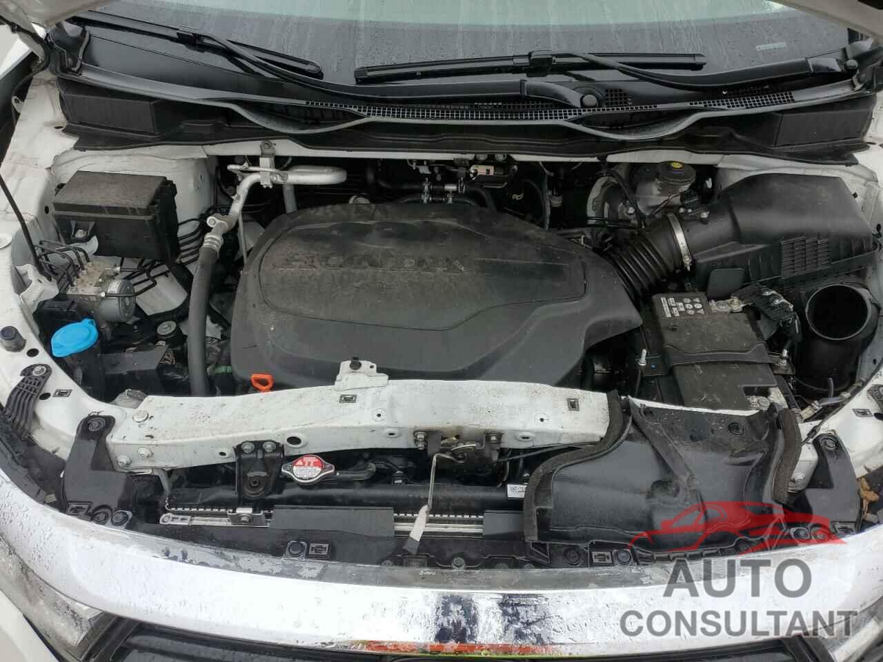 HONDA All Models 2021 - 5FNRL6H27MB037271