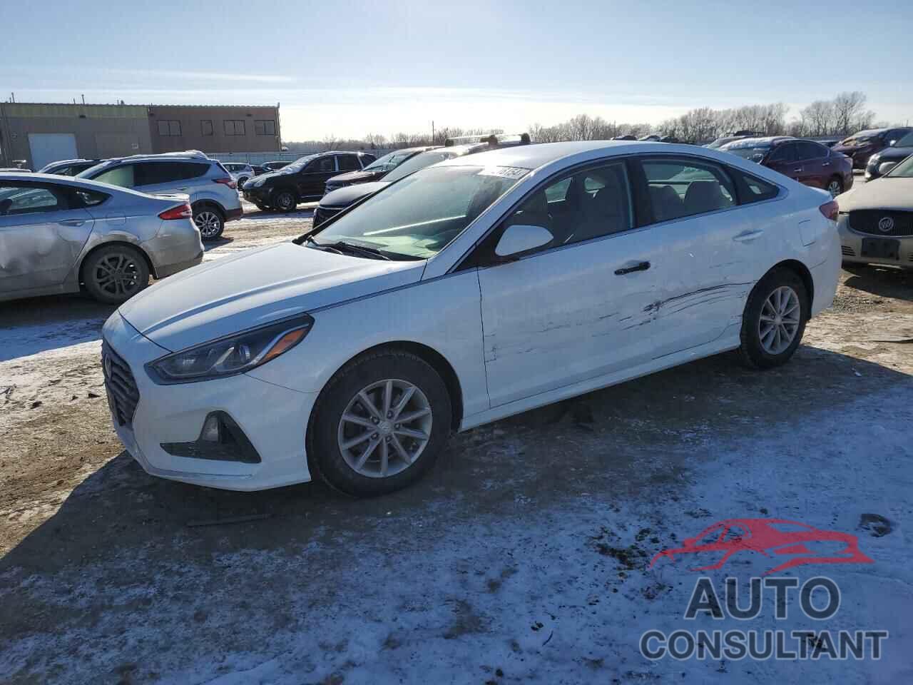 HYUNDAI SONATA 2019 - 5NPE24AF1KH817025
