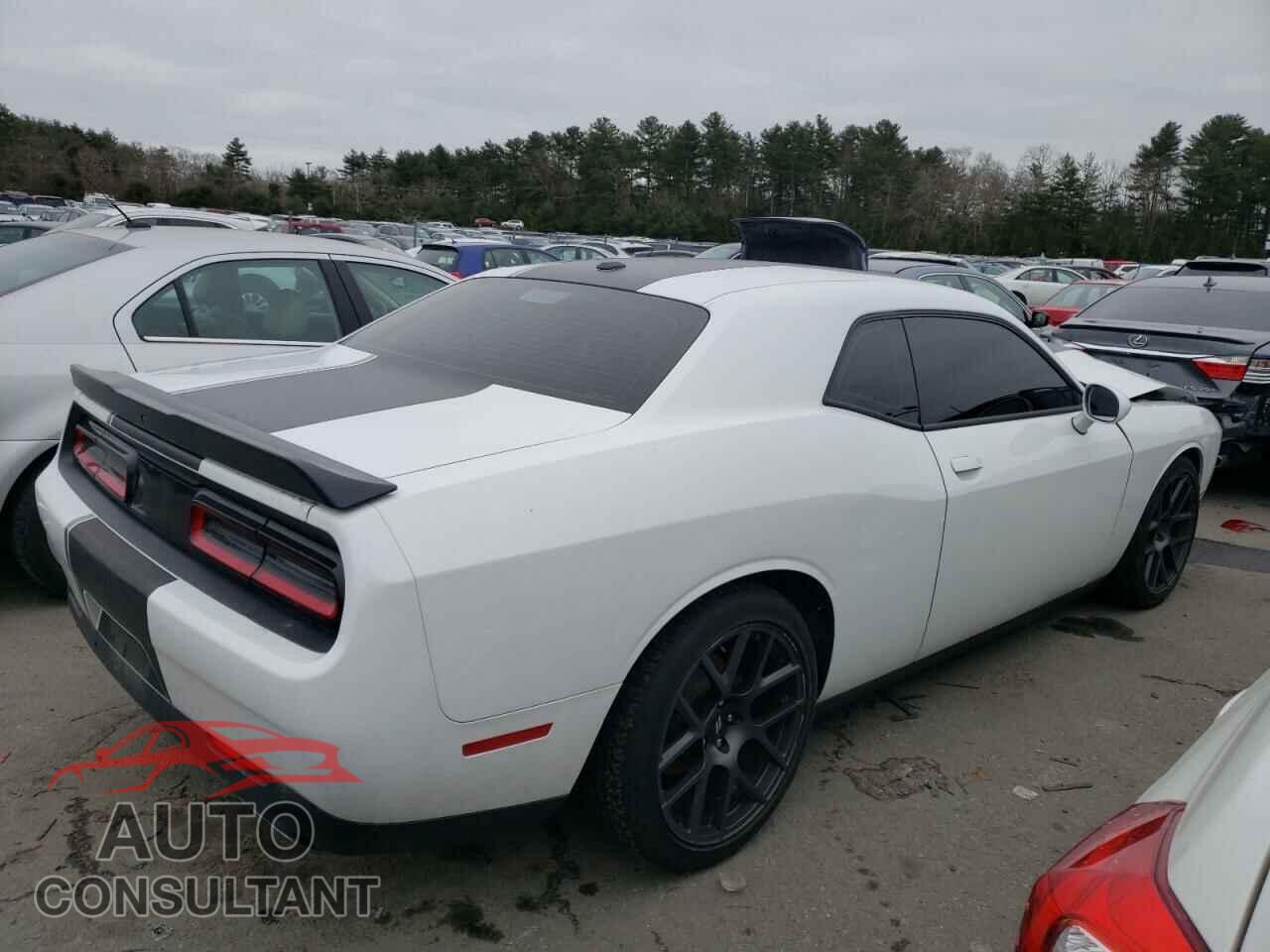 DODGE CHALLENGER 2019 - 2C3CDZBT9KH679976