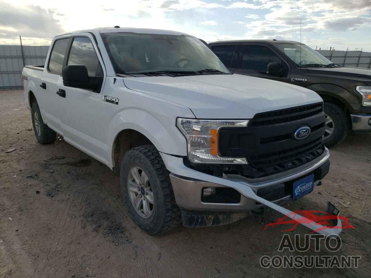 FORD F-150 2019 - 1FTEW1EP0KKD16361