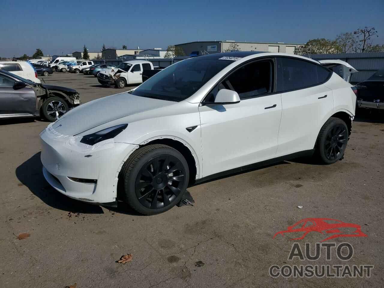 TESLA MODEL Y 2024 - 7SAYGDEE4RF164976