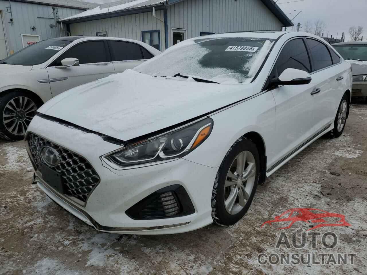 HYUNDAI SONATA 2019 - 5NPE34AF2KH750206