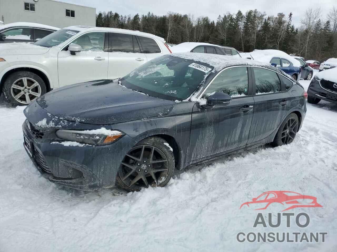 HONDA CIVIC 2023 - 19XFL1H86PE401460