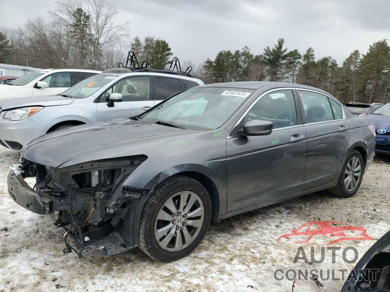 HONDA ACCORD 2011 - 1HGCP2F81BA094616