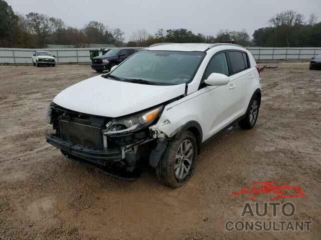 KIA SPORTAGE 2016 - KNDPB3AC5G7844412