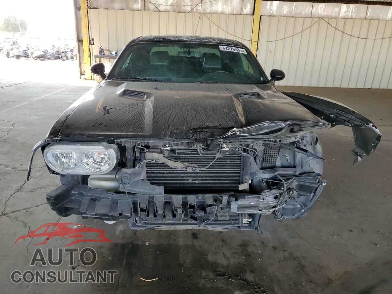 DODGE CHALLENGER 2013 - 2C3CDYAG2DH620026