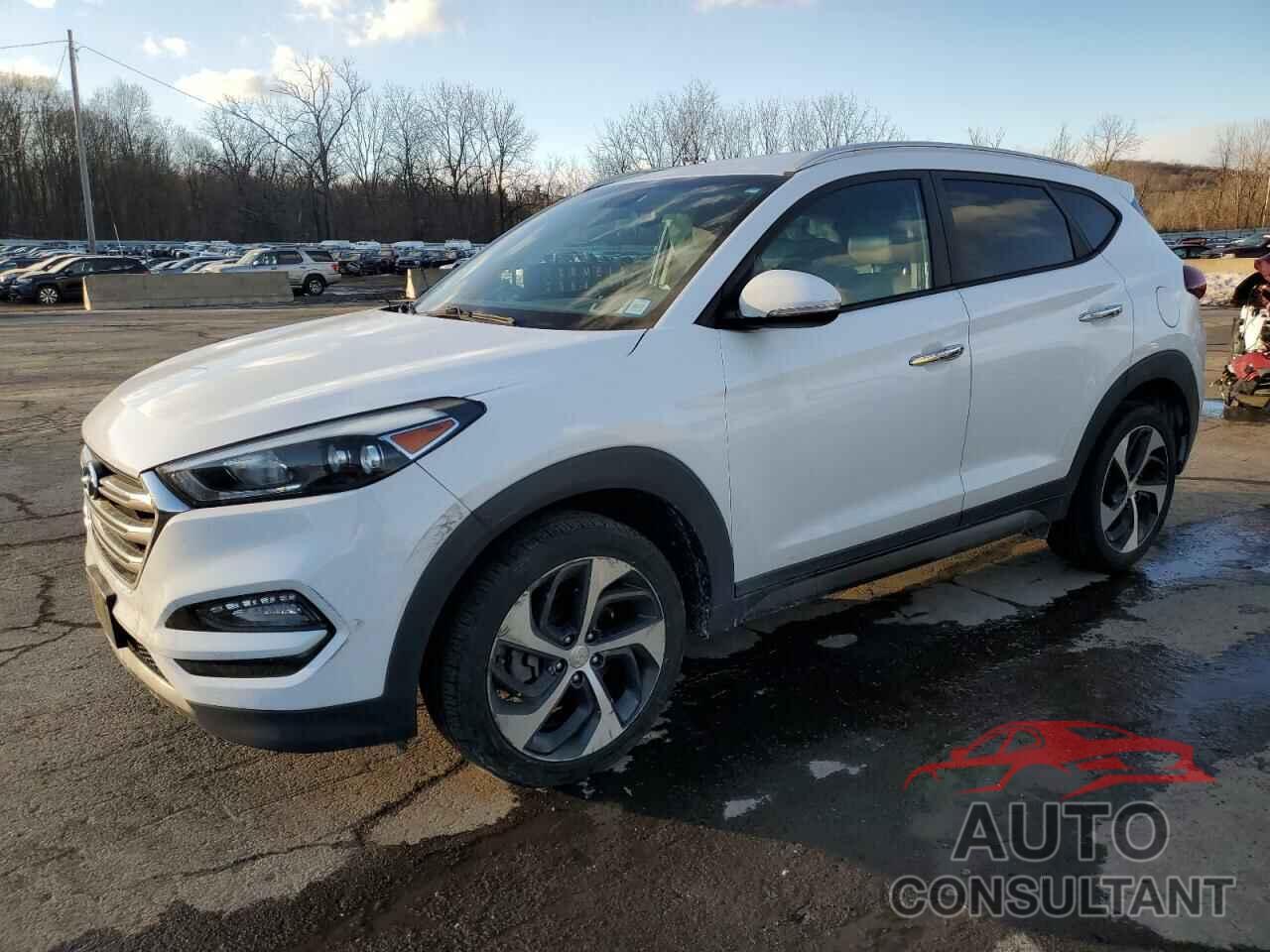 HYUNDAI TUCSON 2016 - KM8J3CA29GU174211