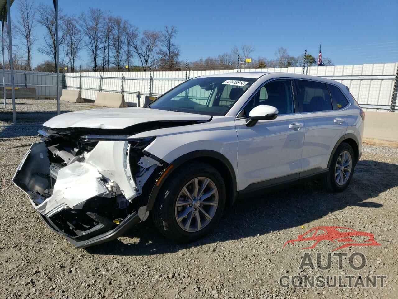 HONDA CRV 2024 - 2HKRS3H44RH310324