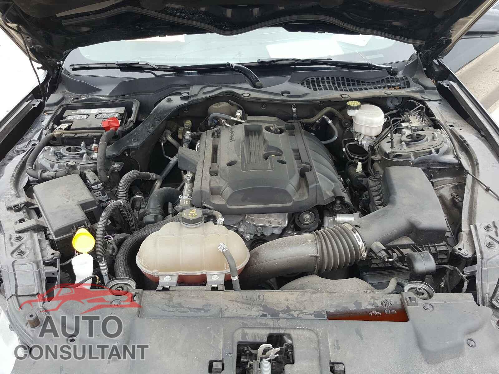FORD MUSTANG 2019 - 1FA6P8TH5K5201765