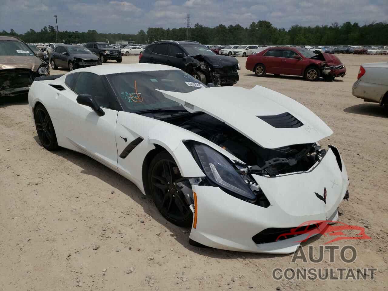 CHEVROLET CORVETTE 2019 - 1G1YG2D73K5124859