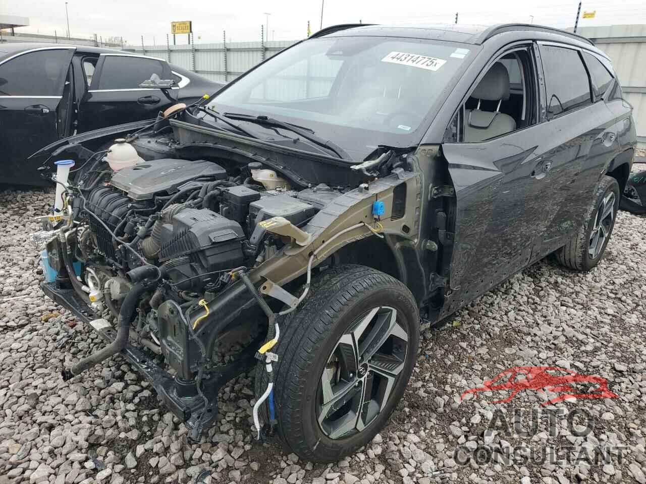 HYUNDAI TUCSON 2023 - 5NMJECAE1PH177569