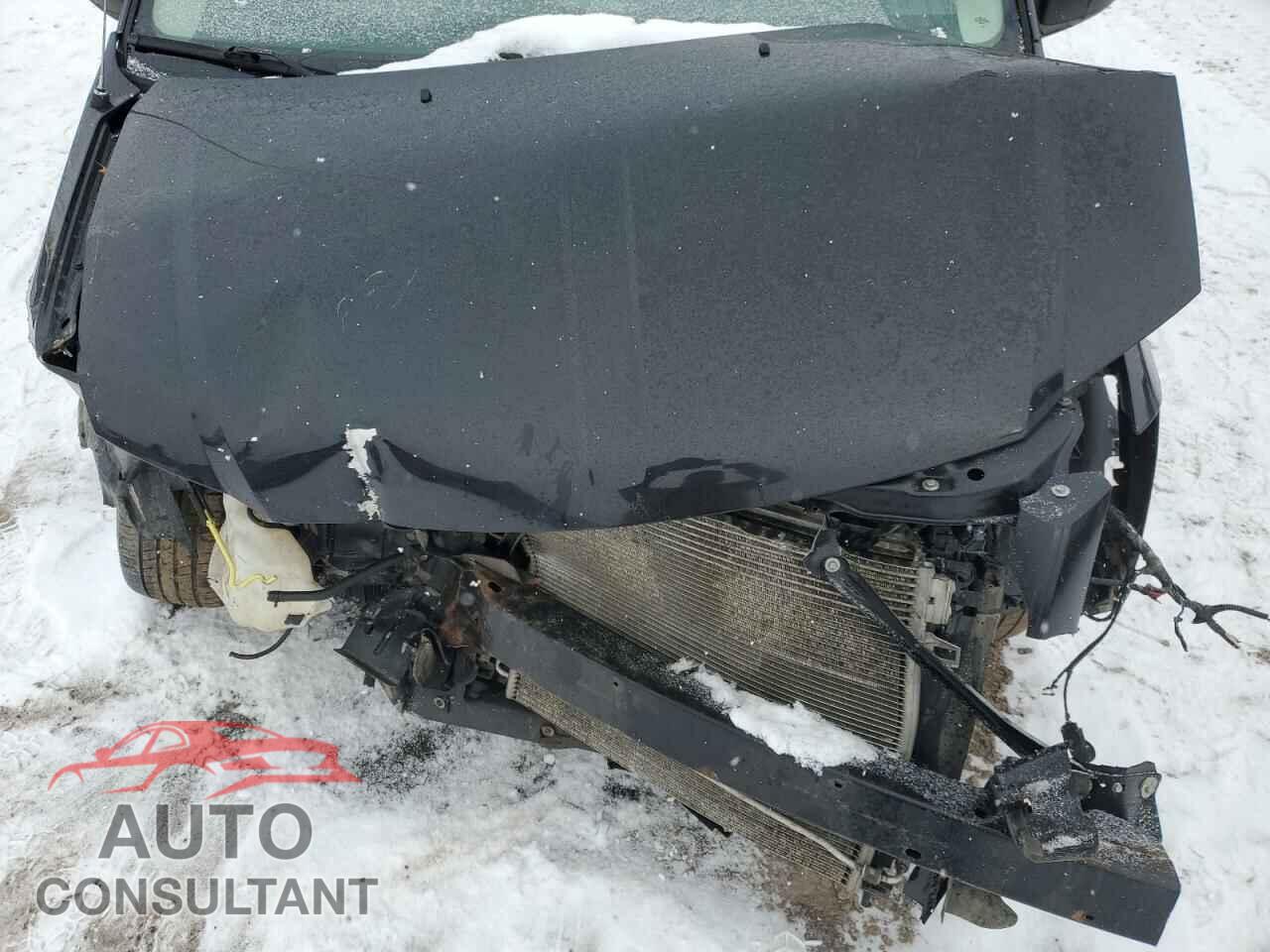 DODGE CARAVAN 2010 - 2D4RN3D18AR418913