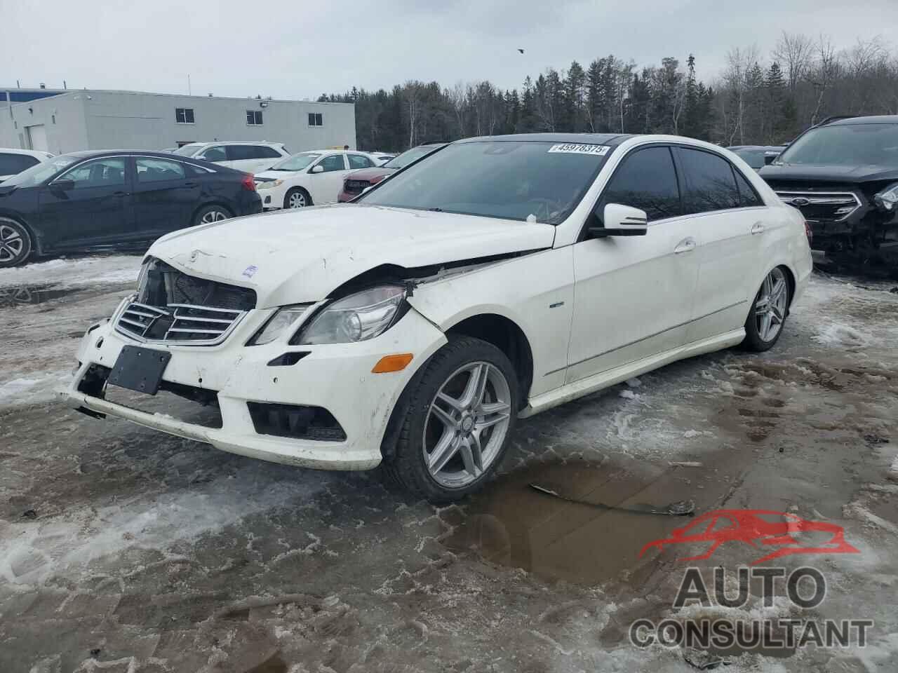 MERCEDES-BENZ E-CLASS 2012 - WDDHF9BBXCA558401