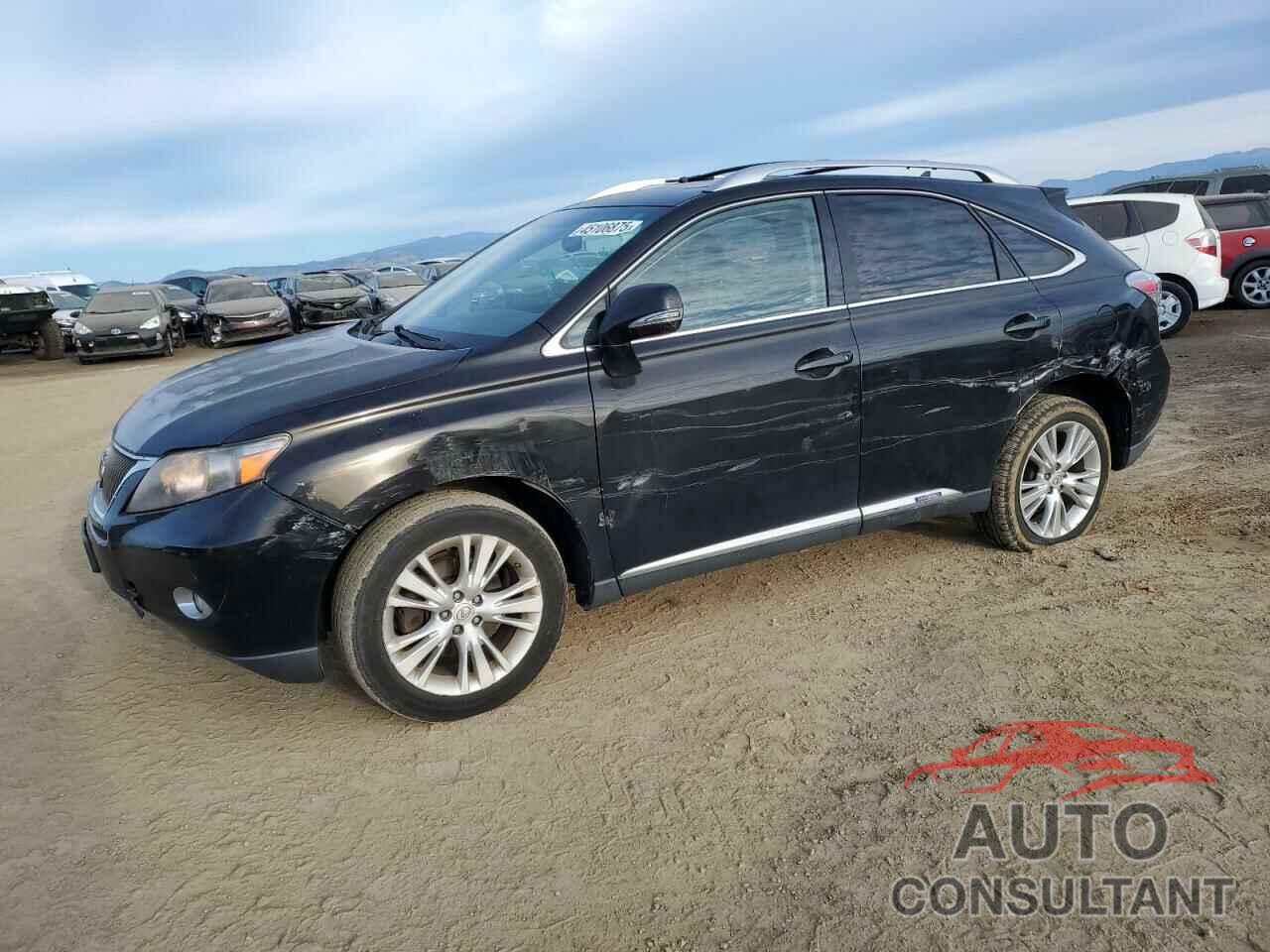 LEXUS RX450 2011 - JTJBC1BA5B2417887