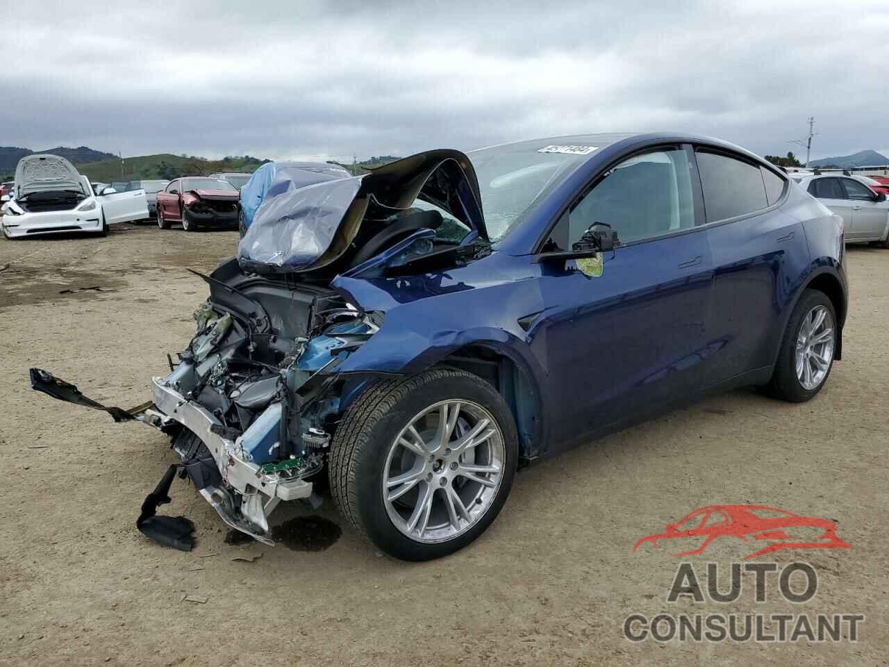 TESLA MODEL Y 2023 - 7SAYGDEE2PF896701