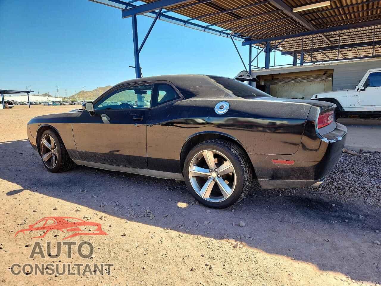 DODGE CHALLENGER 2012 - 2C3CDYAG2CH130135