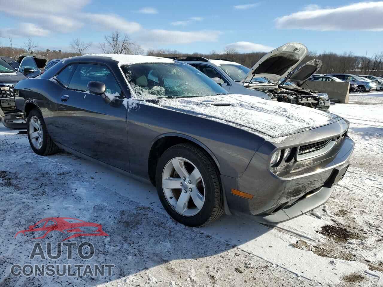DODGE CHALLENGER 2013 - 2C3CDYAG6DH737172