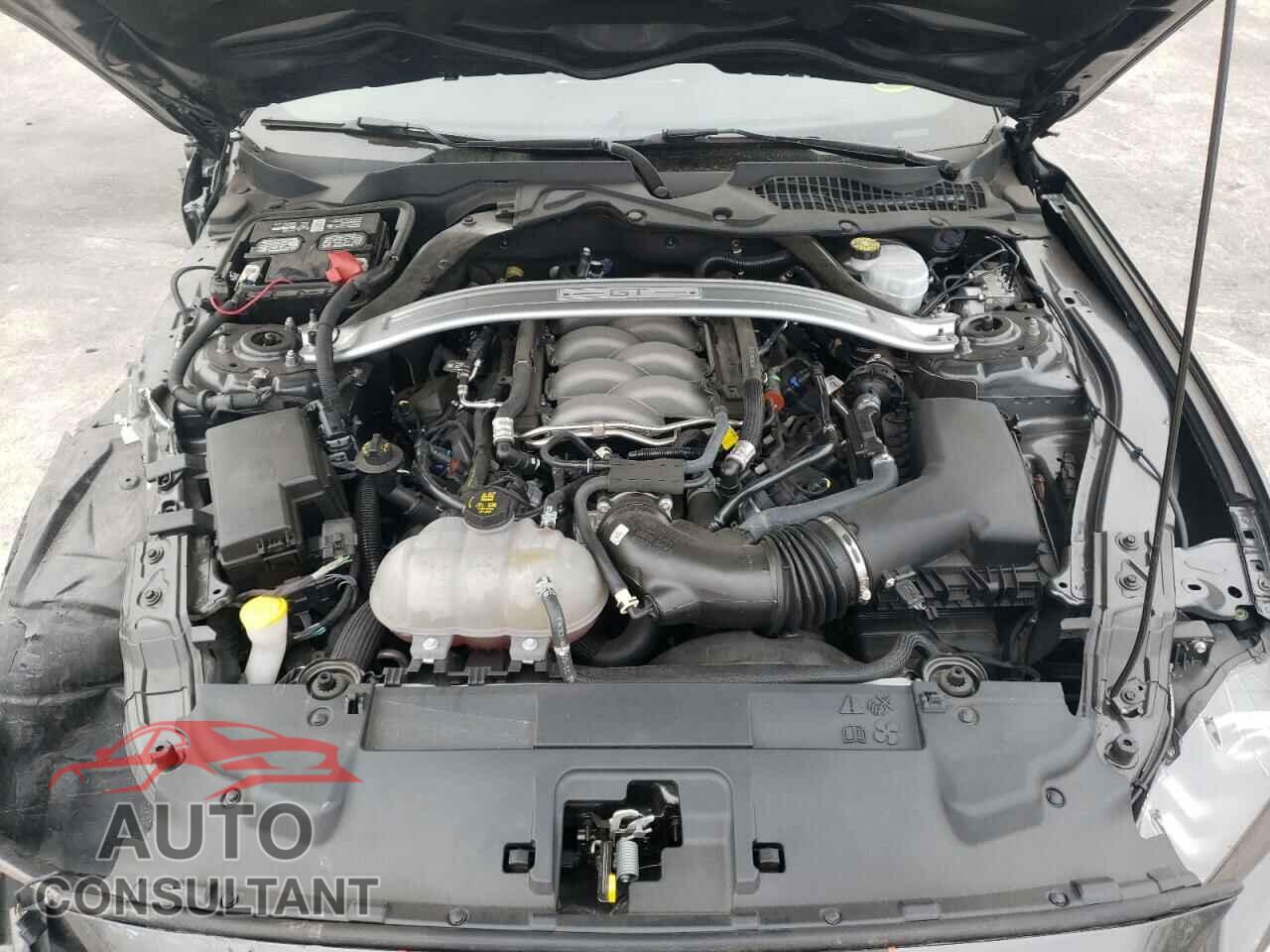 FORD MUSTANG 2019 - 1FA6P8CF7K5193103