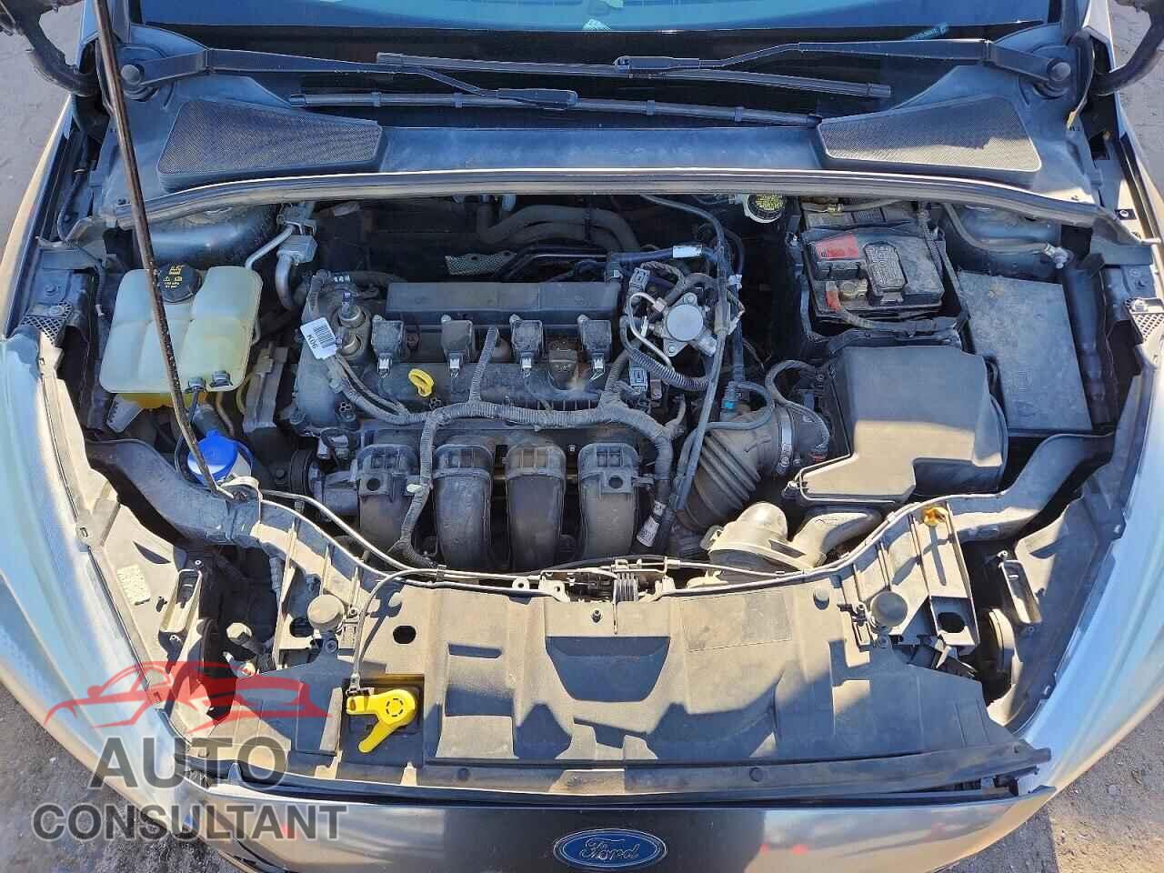FORD FOCUS 2016 - 1FADP3F21GL369472