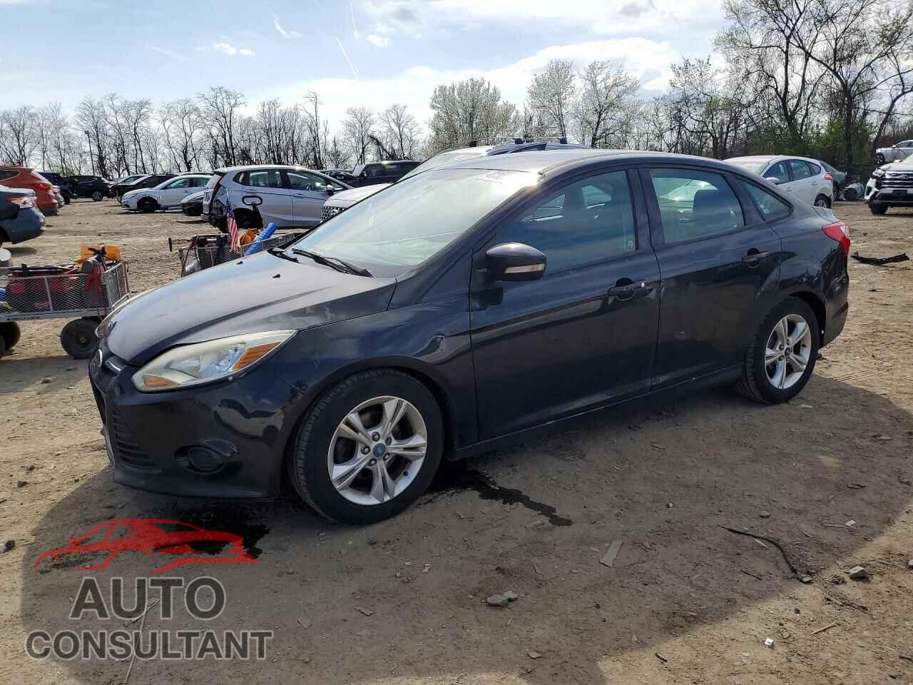 FORD FOCUS 2014 - 1FADP3F22EL134351