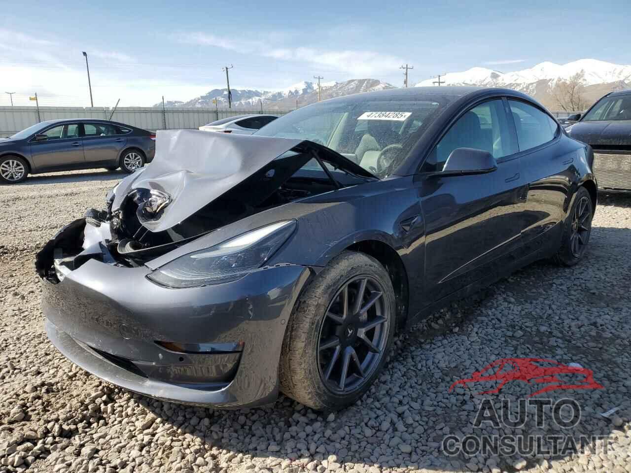 TESLA MODEL 3 2021 - 5YJ3E1EA3MF017176