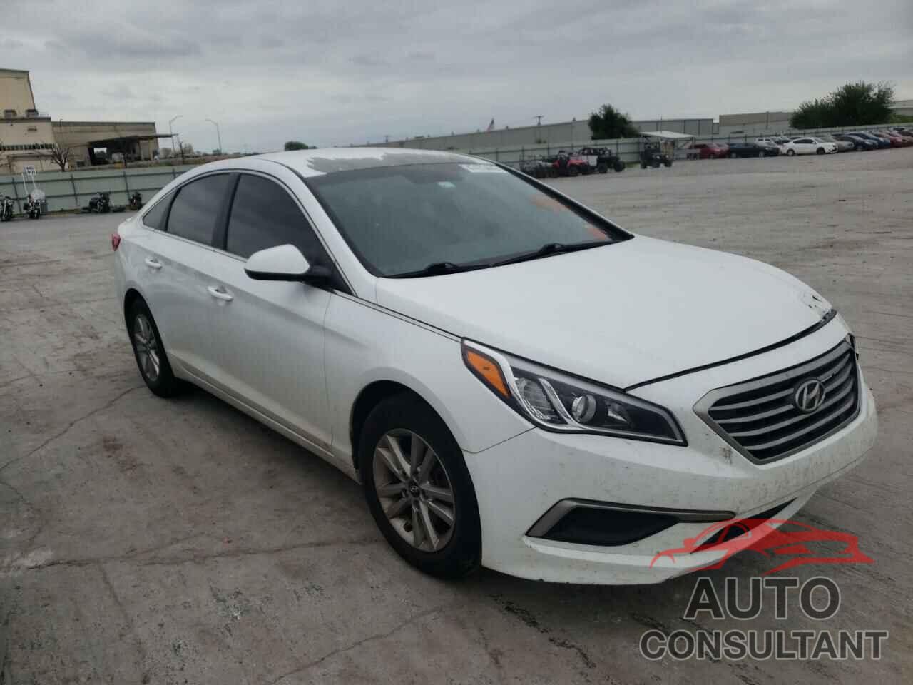 HYUNDAI SONATA 2019 - 5NPE24AF5GH289934