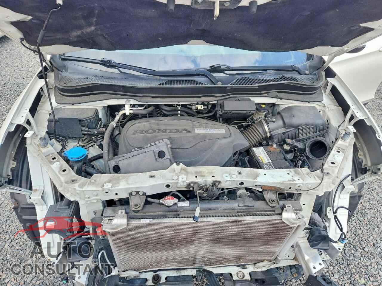 HONDA RIDGELINE 2019 - 5FPYK2F66KB000326