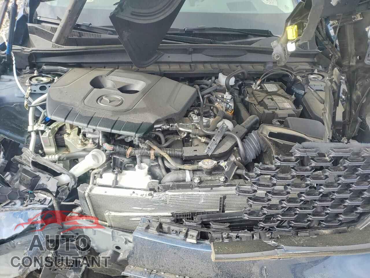 MAZDA CX-50 2025 - 7MMVABEM6SN305955