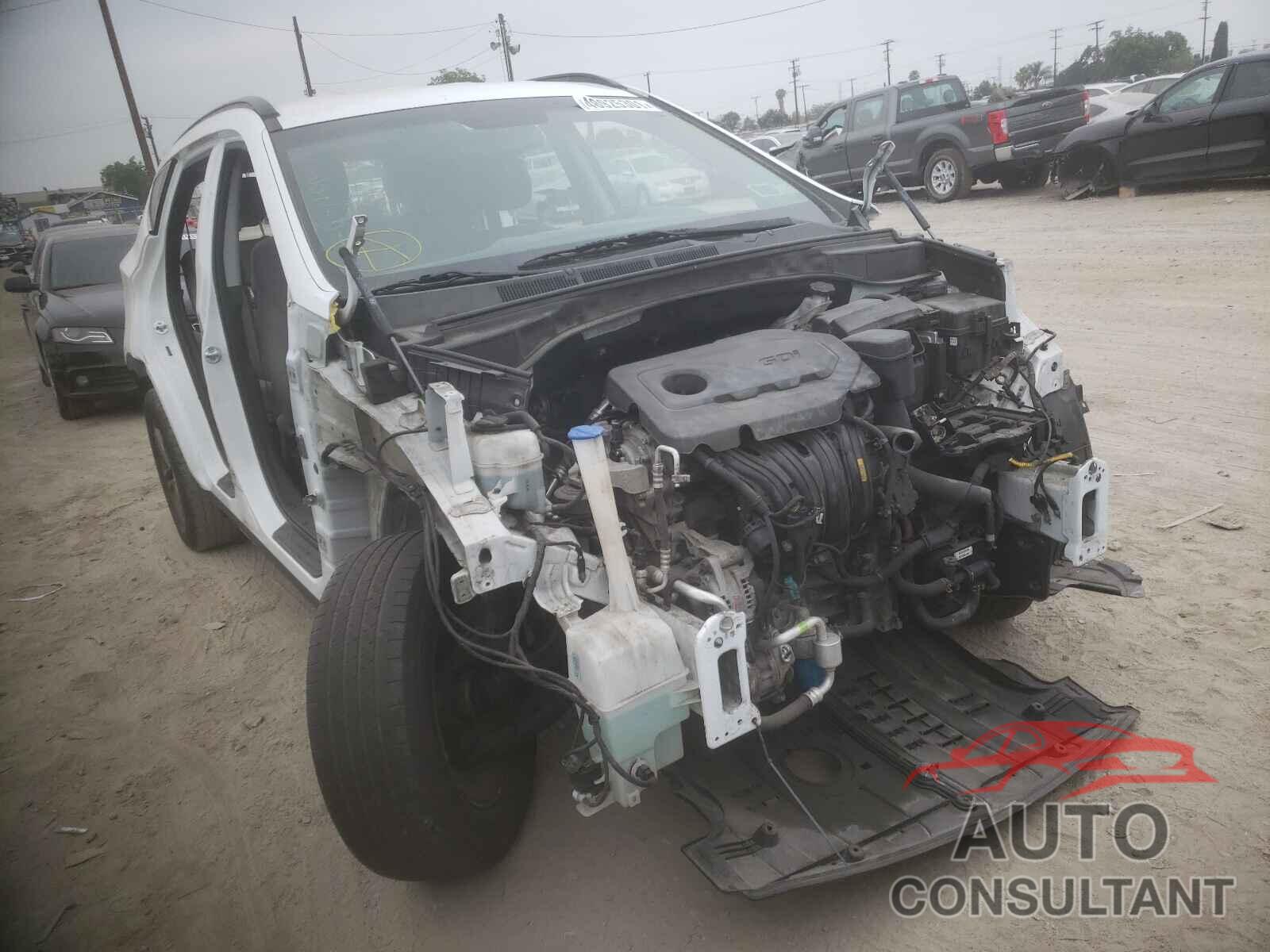 HYUNDAI SANTA FE 2017 - 5NMZUDLB0HH031812