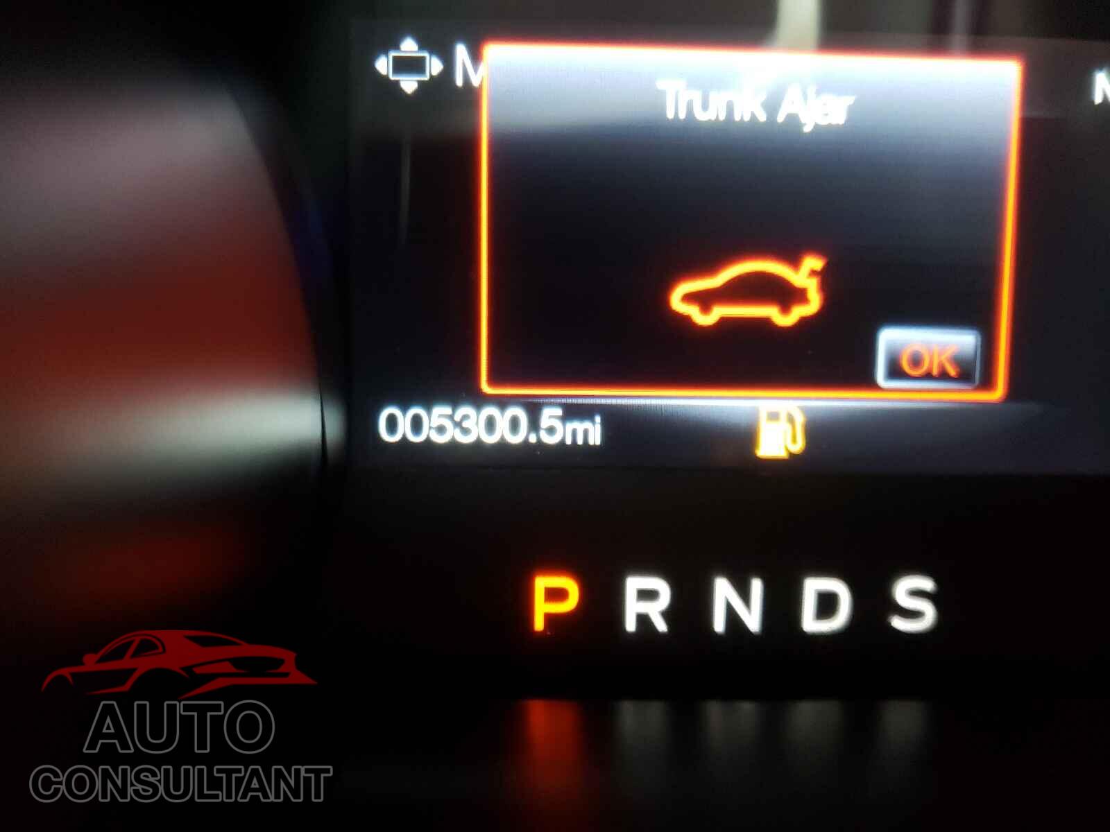 FORD MUSTANG 2020 - 1FA6P8CF0L5183630