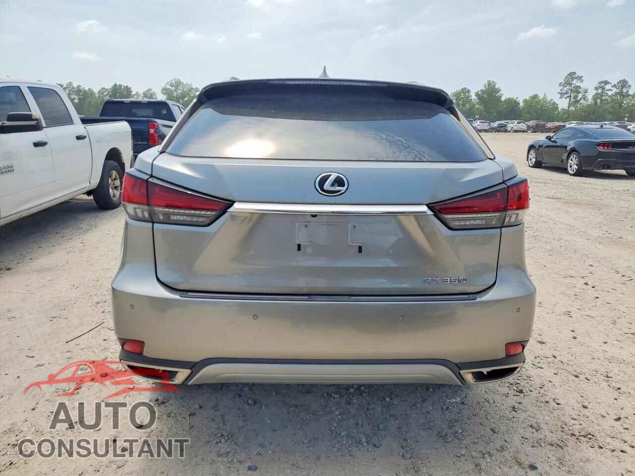 LEXUS RX350 2020 - 2T2JZMAA4LC169727