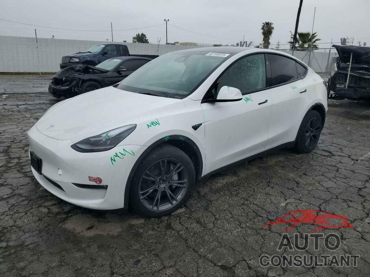 TESLA MODEL Y 2024 - 7SAYGDEE1RF124192