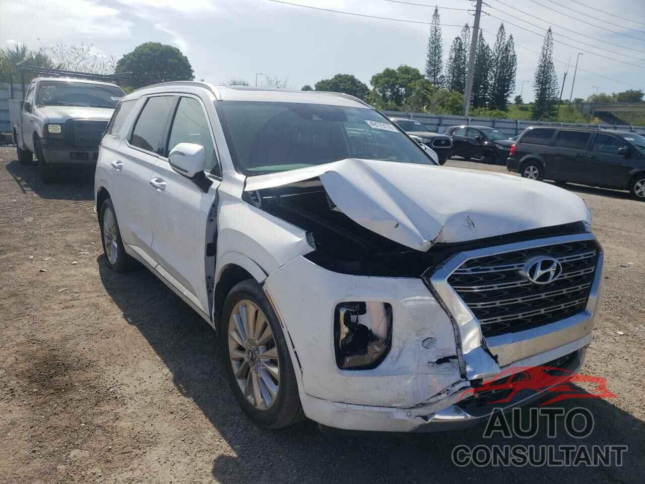 HYUNDAI PALISADE 2020 - KM8R54HE9LU030705