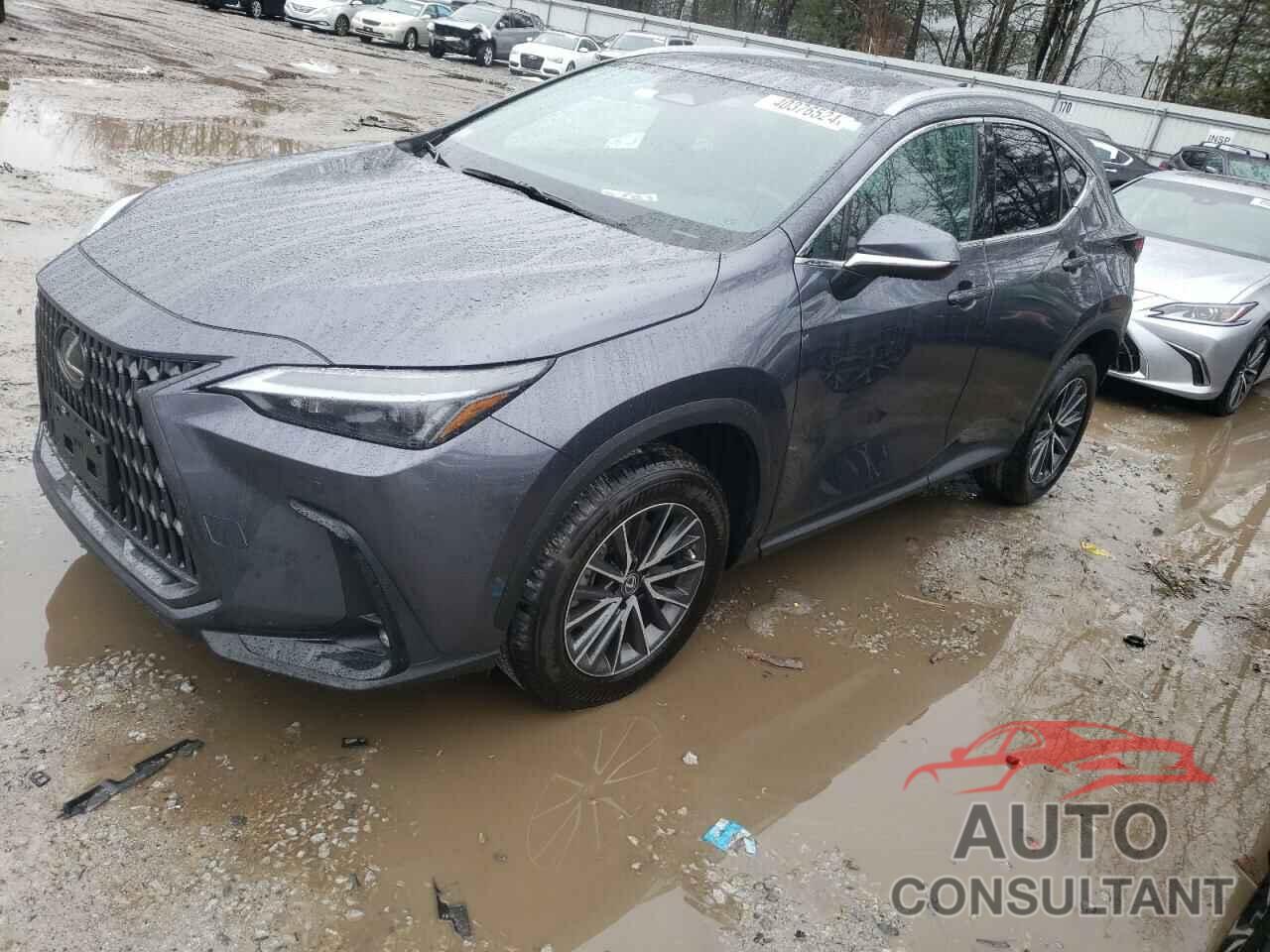 LEXUS NX 350 2023 - 2T2GGCEZXPC021873