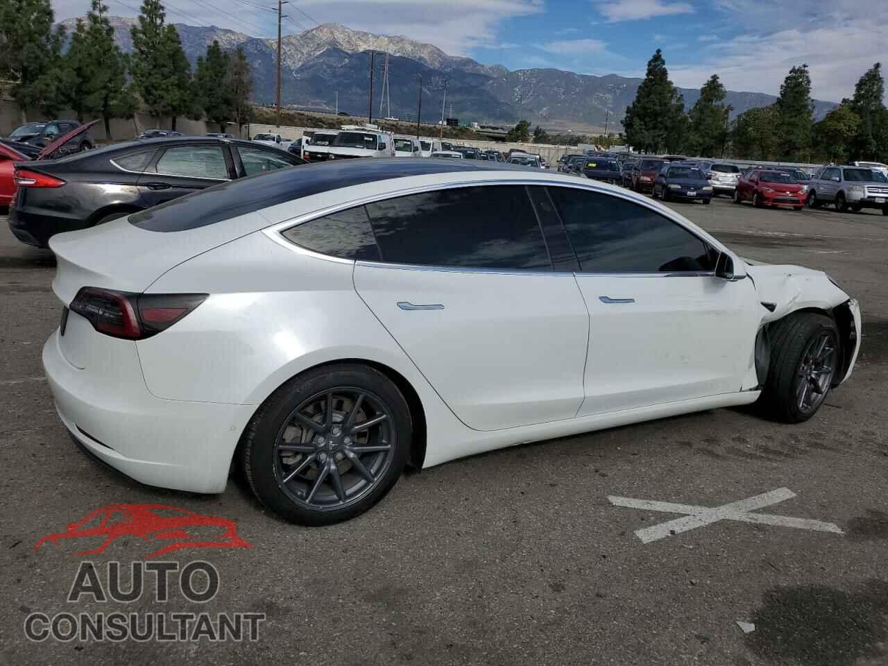 TESLA MODEL 3 2019 - 5YJ3E1EA3KF300030