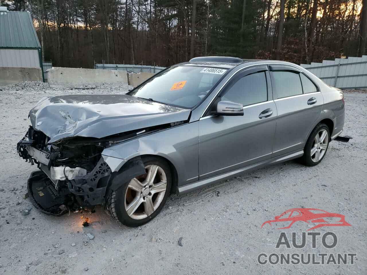 MERCEDES-BENZ C-CLASS 2010 - WDDGF8BB0AR111158