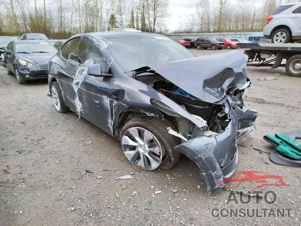 TESLA MODEL Y 2021 - 5YJYGDEE0MF213340