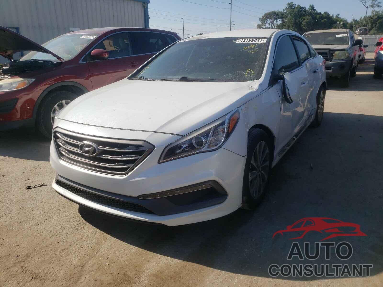 HYUNDAI SONATA 2016 - 5NPE34AF9GH362123