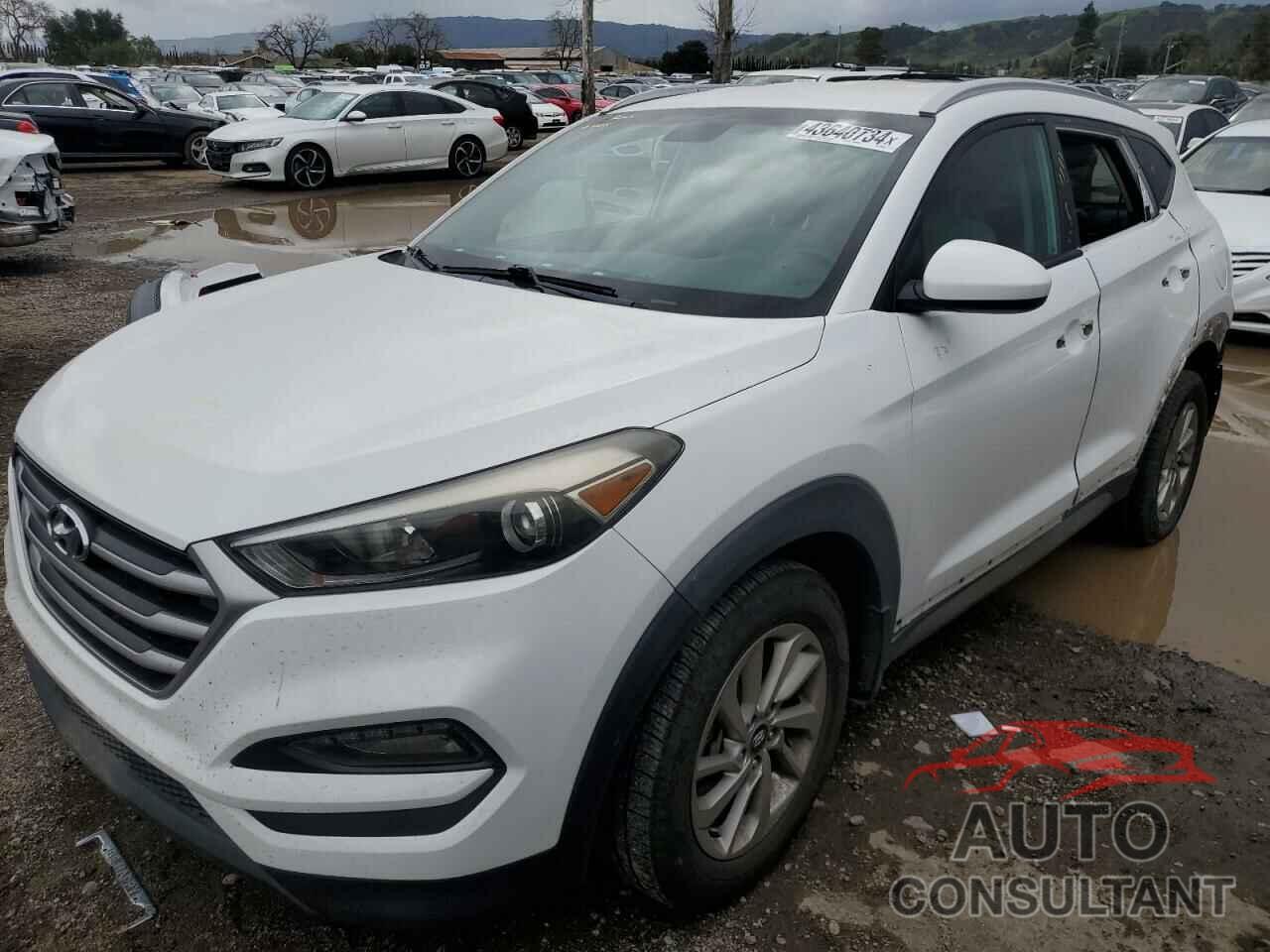 HYUNDAI TUCSON 2017 - KM8J33A40HU263930