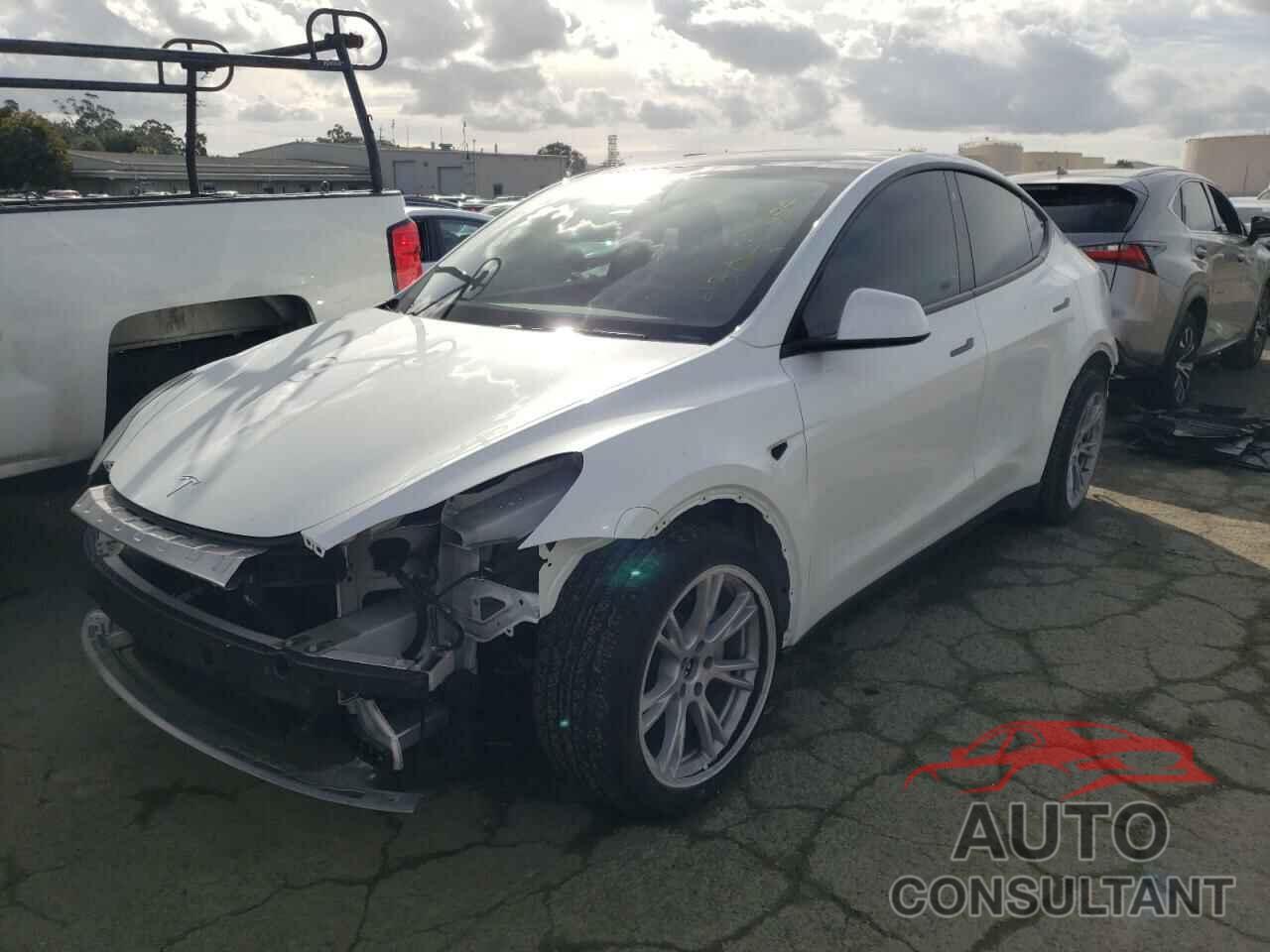 TESLA MODEL Y 2022 - 7SAYGDEE8NF572696