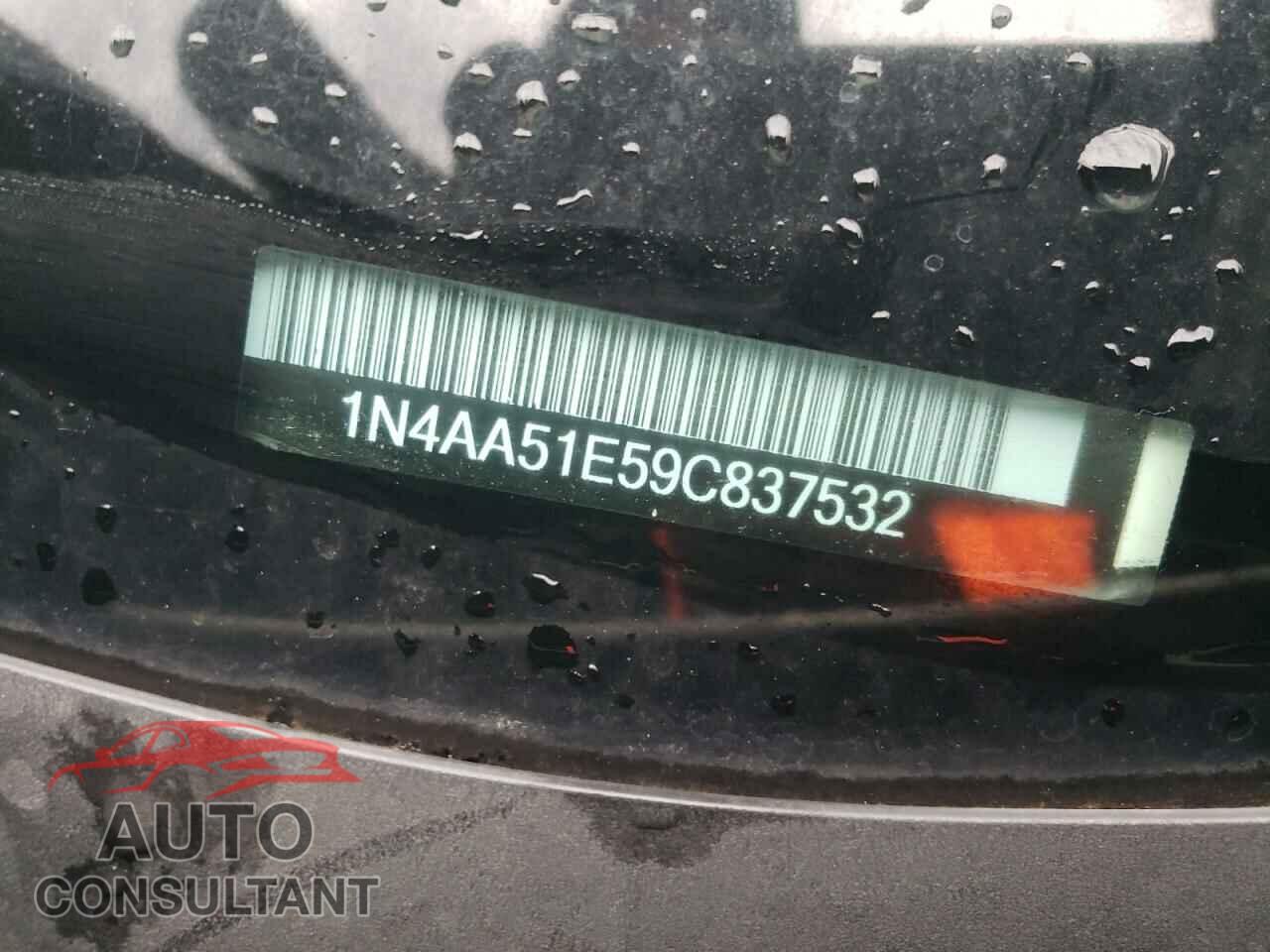 NISSAN MAXIMA 2009 - 1N4AA51E59C837532