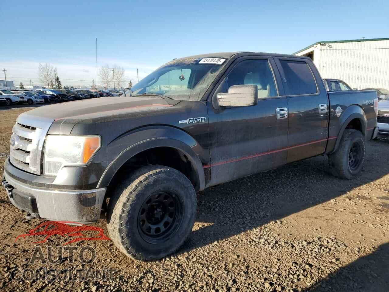 FORD F-150 2010 - 1FTFW1EV1AFB51981